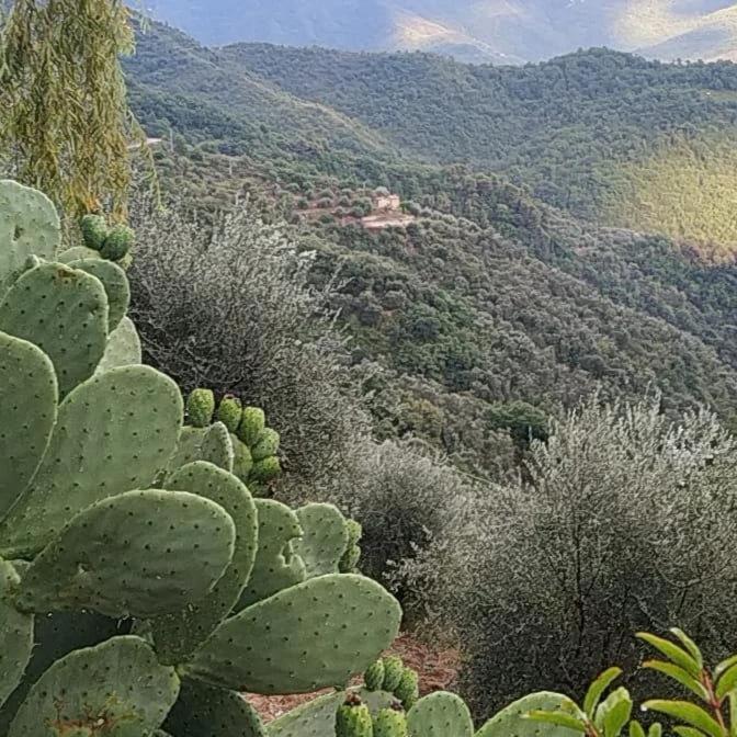 Appartamento Incantevole La Grotta Apricale Zewnętrze zdjęcie